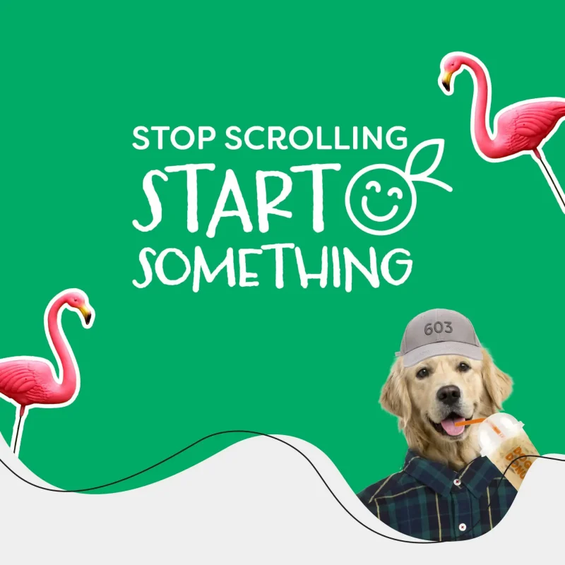 A golden retriever in a hat holds coffee, surrounded by flamingos and bold &ldquo;Stop scrolling, start something&rdquo; text above&mdash;a playful nod to marketing creativity.